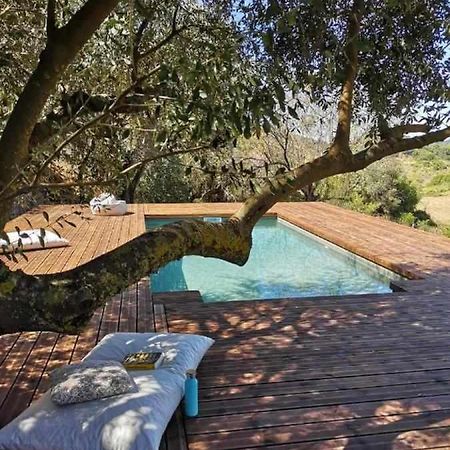פלמלה Biovilla Sustentabilidade מראה חיצוני תמונה