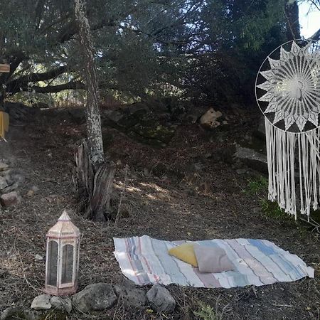 פלמלה Biovilla Sustentabilidade מראה חיצוני תמונה