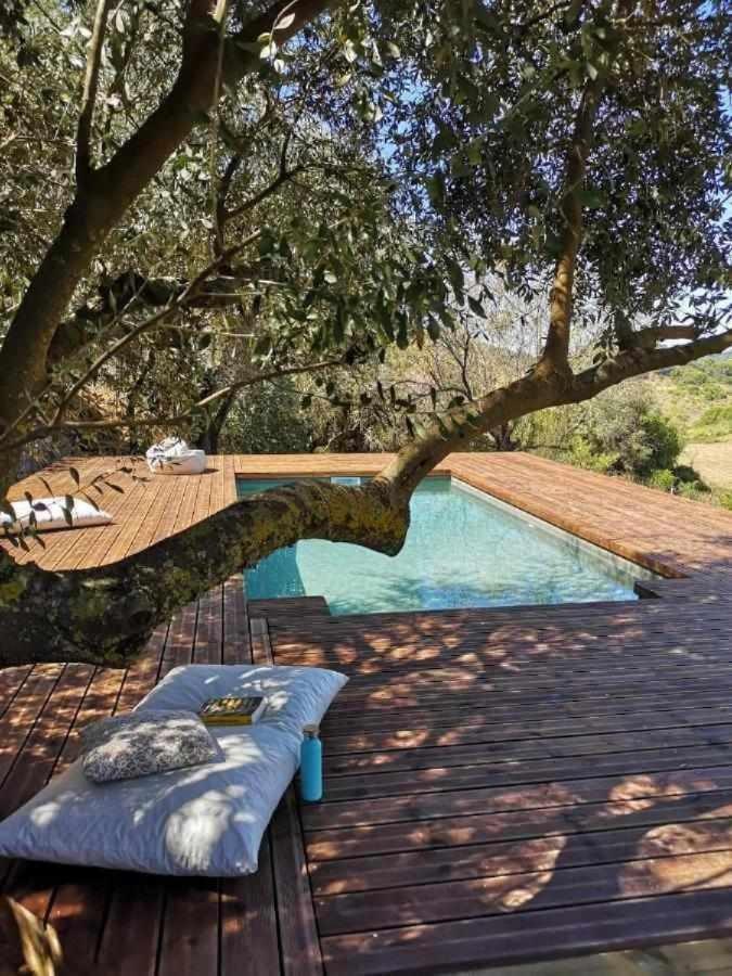 פלמלה Biovilla Sustentabilidade מראה חיצוני תמונה