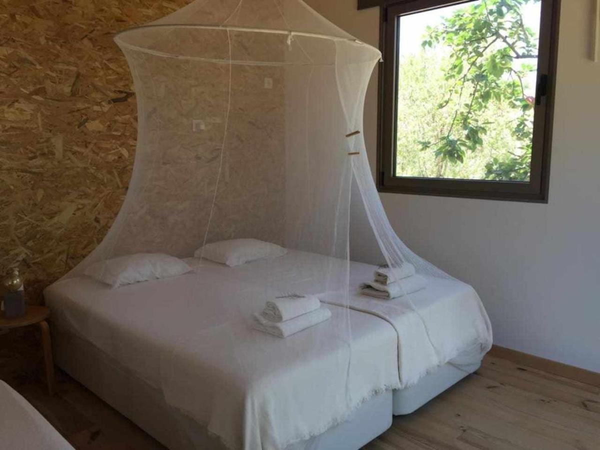 פלמלה Biovilla Sustentabilidade מראה חיצוני תמונה