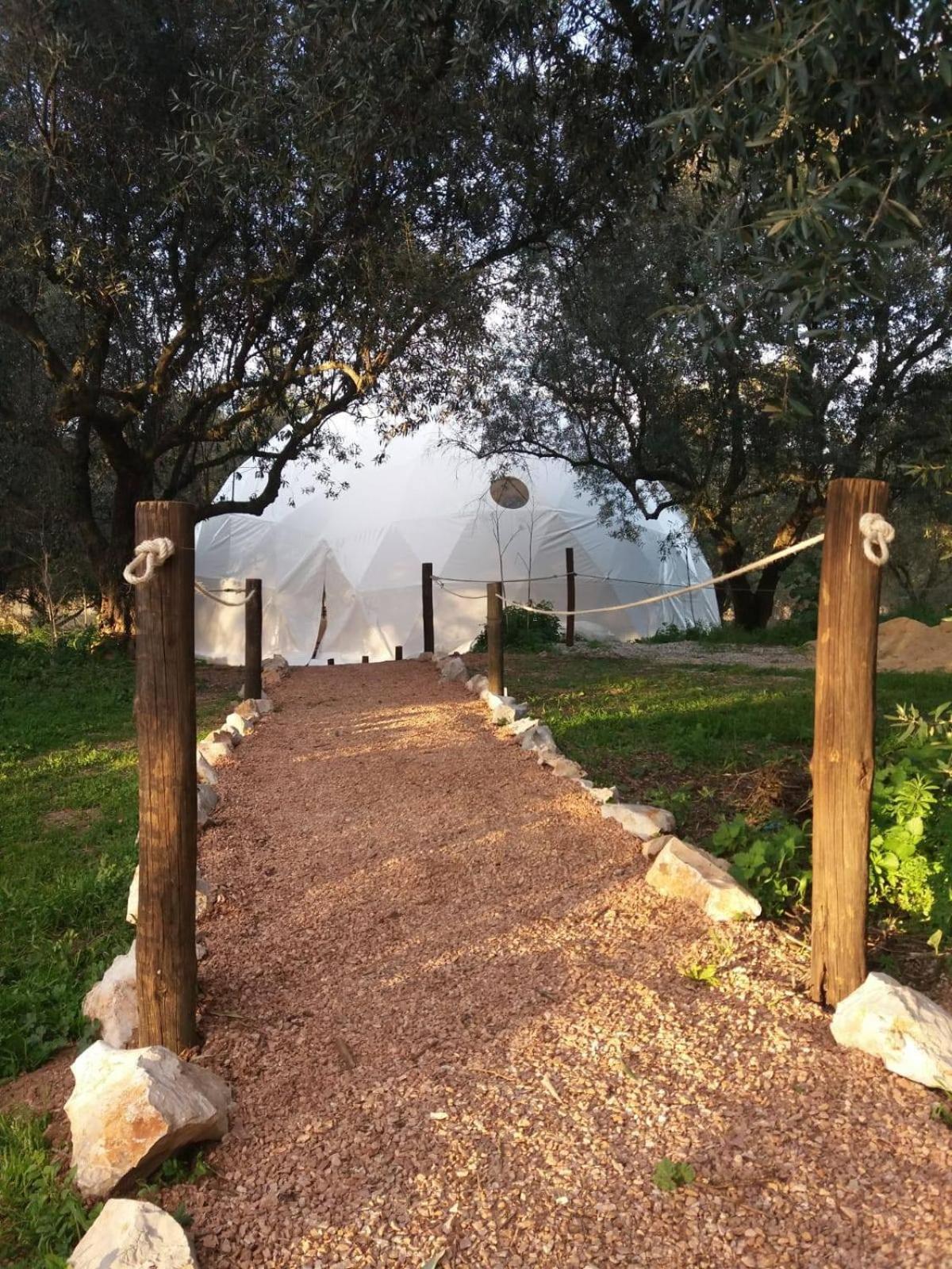 פלמלה Biovilla Sustentabilidade מראה חיצוני תמונה