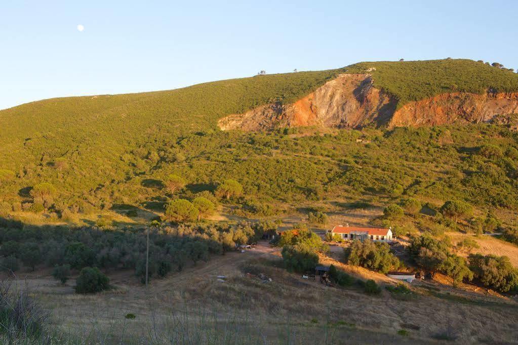 פלמלה Biovilla Sustentabilidade מראה חיצוני תמונה