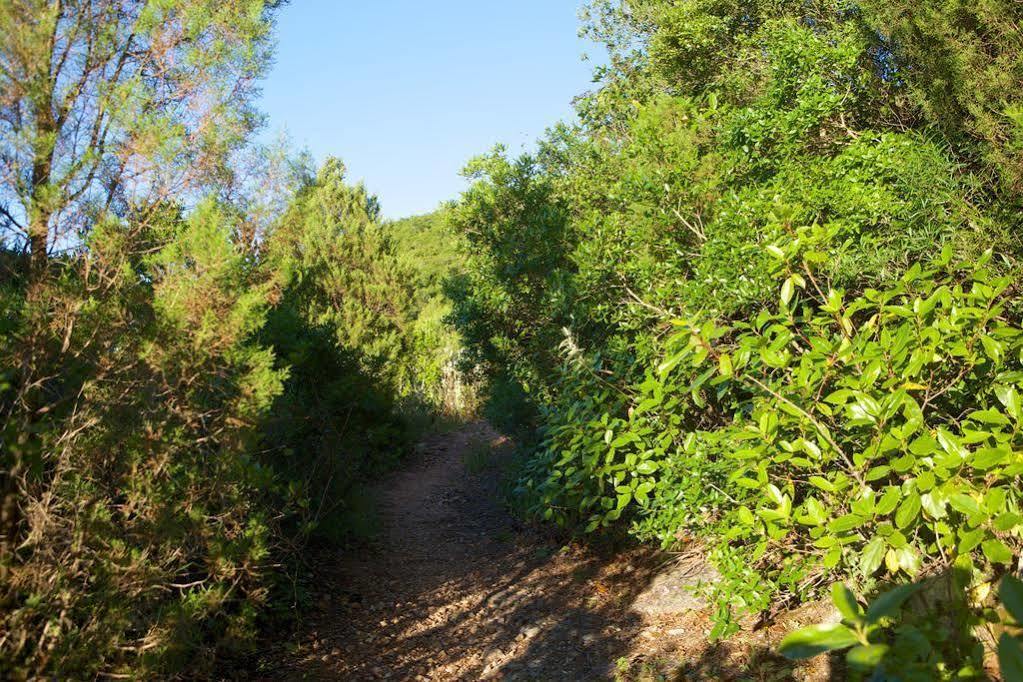 פלמלה Biovilla Sustentabilidade מראה חיצוני תמונה